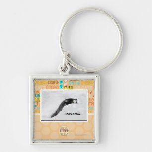 I has snow. key ring