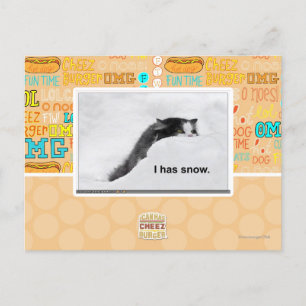 I has snow. postcard