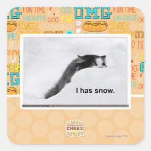 I has snow. square sticker