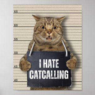 I Hate Catcalling Poster