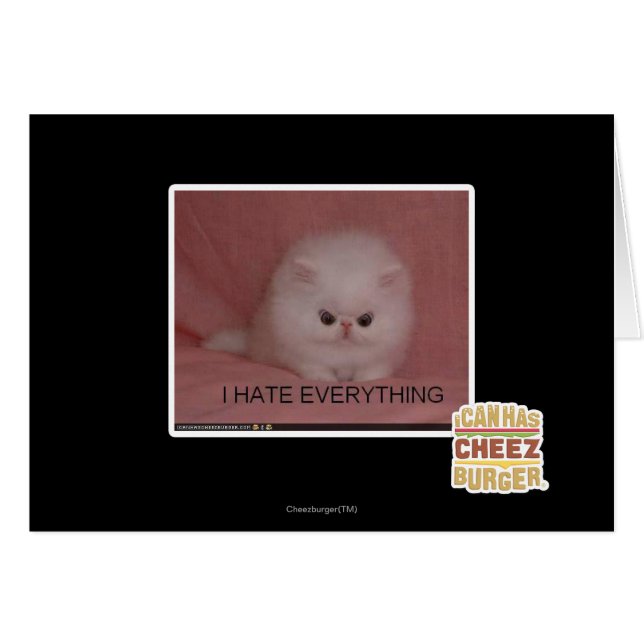 I hate everything (Front Horizontal)