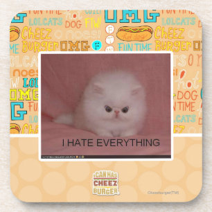 I hate everything coaster