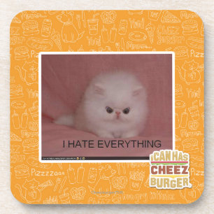 I hate everything coaster