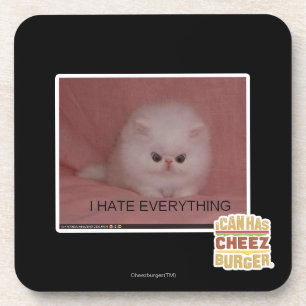 I hate everything coaster