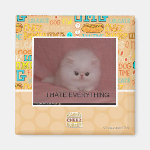I hate everything magnet