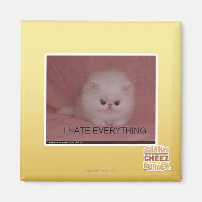 I hate everything magnet (Front)