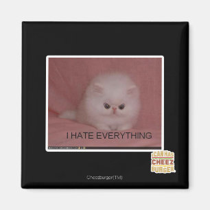 I hate everything magnet