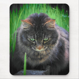 I hate that blade of grass mouse mat