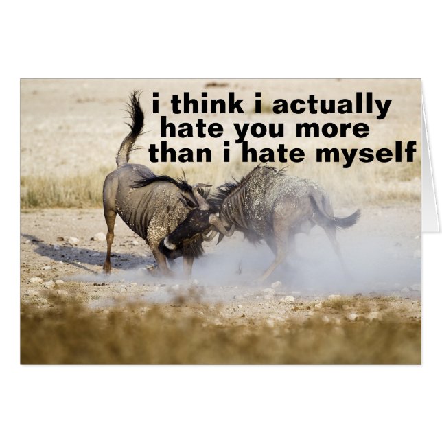 i hate you a lot (Front Horizontal)