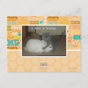 I have a bunny postcard