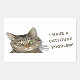 I have a cattitude problem! cute custom rectangular sticker