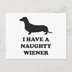 I Have A Naughty Wiener Postcard