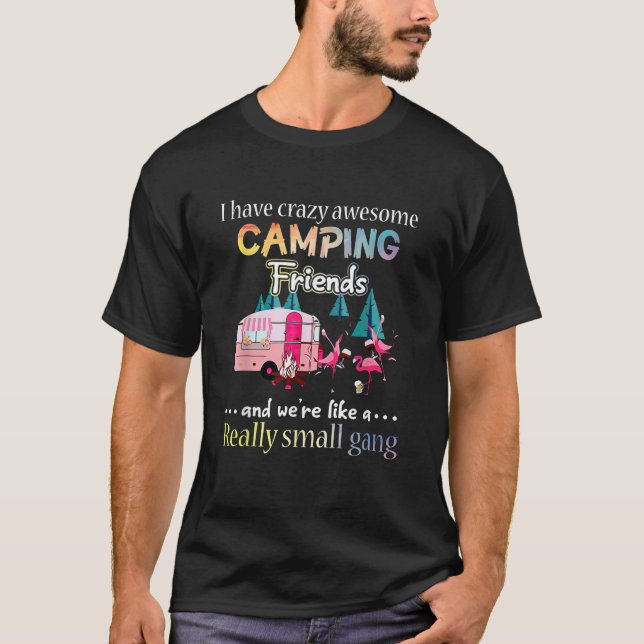 I Have Crazy Awesome Camping Friends And We re Lik T-Shirt (Front)