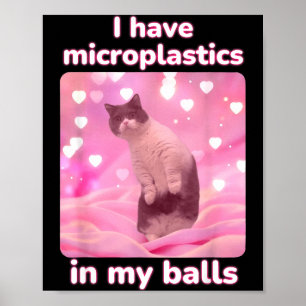 I Have Microplastics In My Pink Cat Meme Dank Meme Poster
