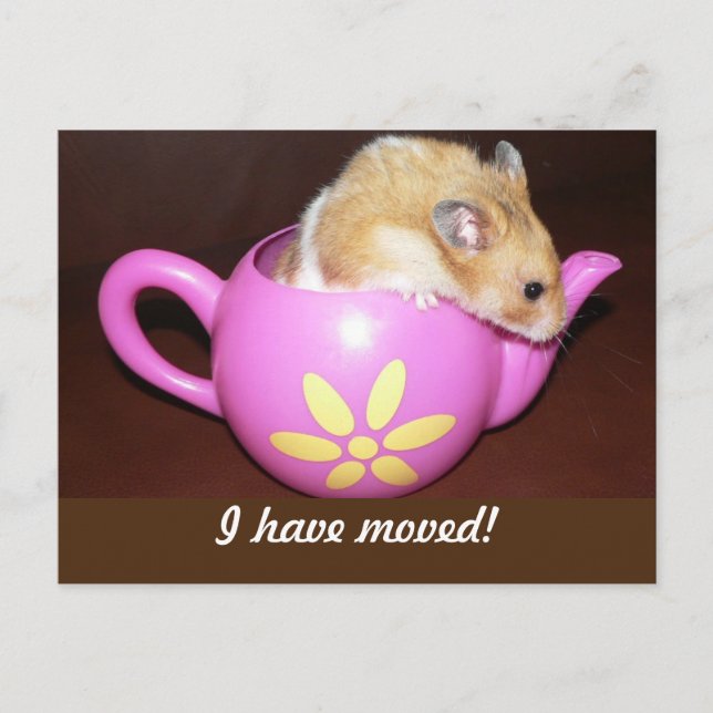 I Have Moved Hamster Announcement Postcard (Front)
