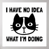 I Have No Idea What I'm Doing Cat