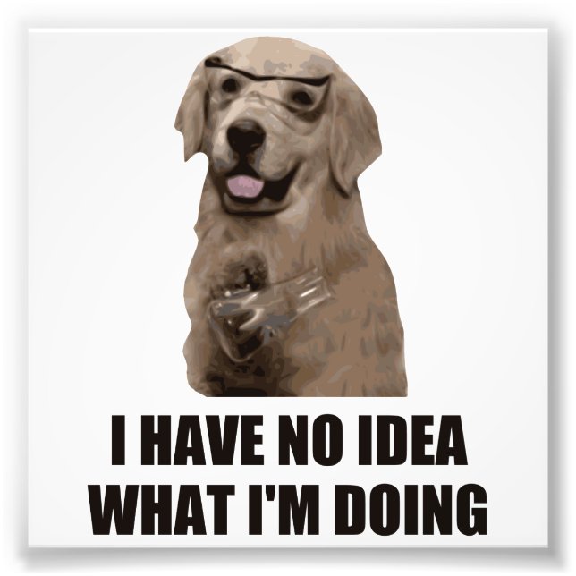 I Have No Idea What I'm Doing Photo Print (Front)