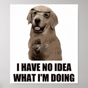 I Have No Idea What I'm Doing Poster