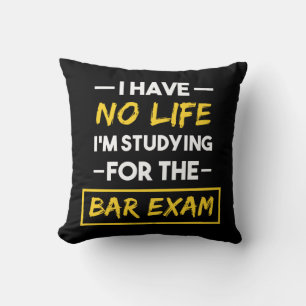 I Have No Life I'm Studying for the Bar Exam Cushion