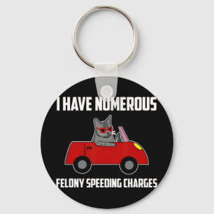 I Have Numerous Felony Speeding Charges Funny Cat  Key Ring