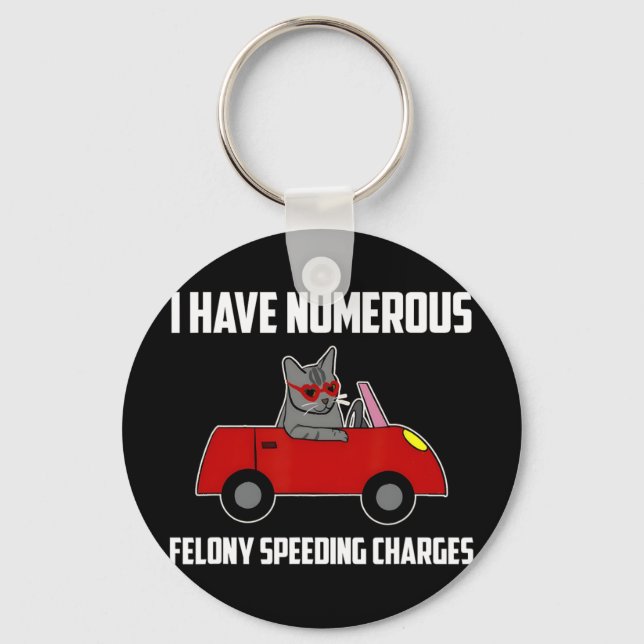 I Have Numerous Felony Speeding Charges Funny Cat  Key Ring (Front)