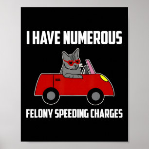 I Have Numerous Felony Speeding Charges Funny Cat Poster