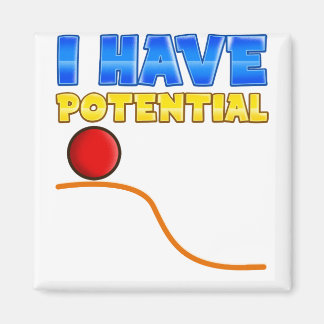 I Have Potential Magnet