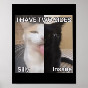 I Have Two Sides Silly Insane Cat Funny For Men Wo Poster