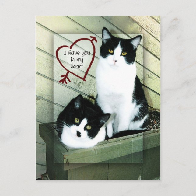 I Have You in my Heart Postcard (Front)