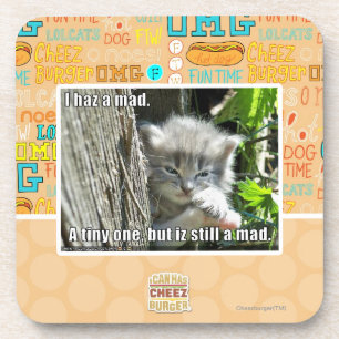 I haz a mad coaster