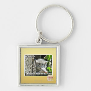 I haz a mad key ring
