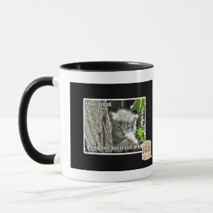 I haz a mad mug