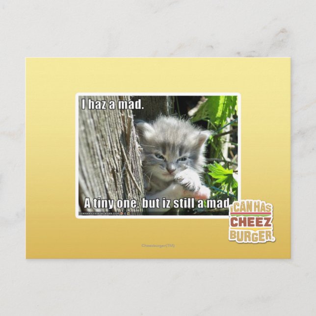 I haz a mad postcard (Front)