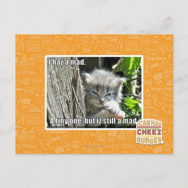 I haz a mad postcard (Front)