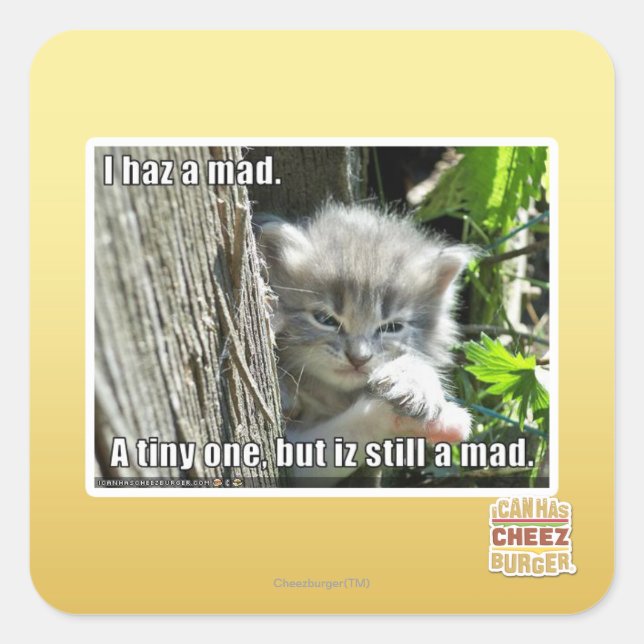 I haz a mad square sticker (Front)
