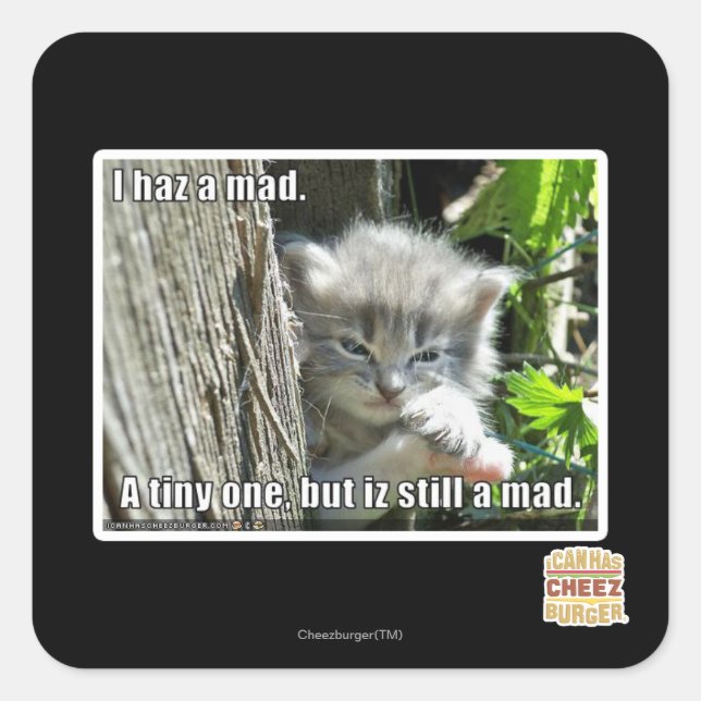 I haz a mad square sticker (Front)