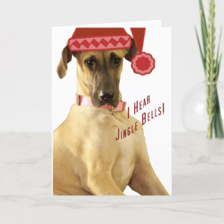 I hear jingle bells holiday card