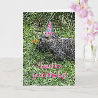I heard it's your birthday, groundhog cards
