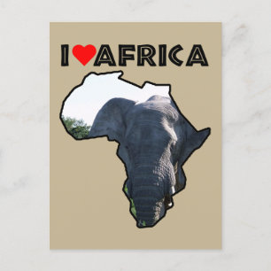 I Heart Africa Elephant Ears Postcard