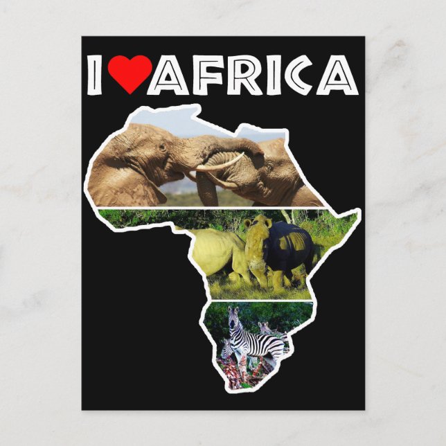 I Heart Africa Wildlife Collage Postcard (Front)