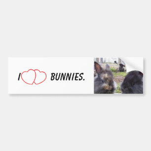 I Heart Bunnies Bumper Sticker
