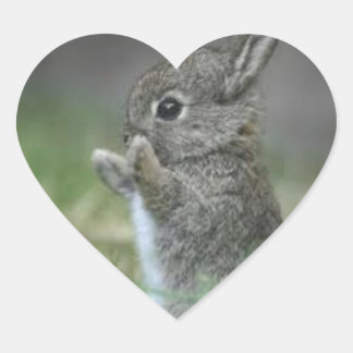 I HEART BUNNYS STICKER
