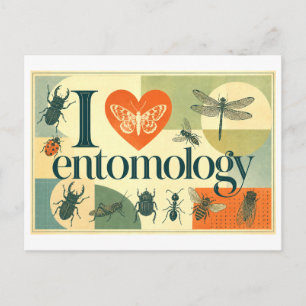 "I [Heart] Entomology" Postcard