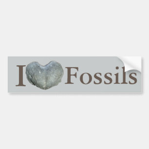 I Heart Fossils Bumper Sticker