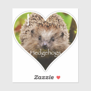 I Heart Hedgehogs