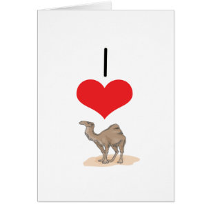I Heart (Love) Camels
