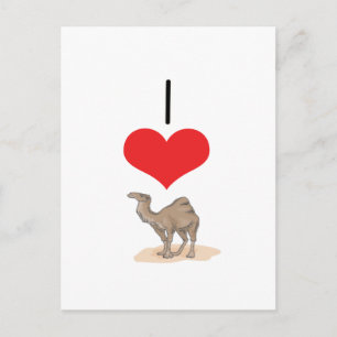 I Heart (Love) Camels Postcard