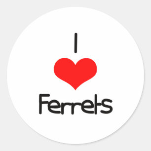I Heart (Love) Ferrets Classic Round Sticker