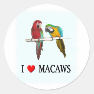 I heart macaws too classic round sticker