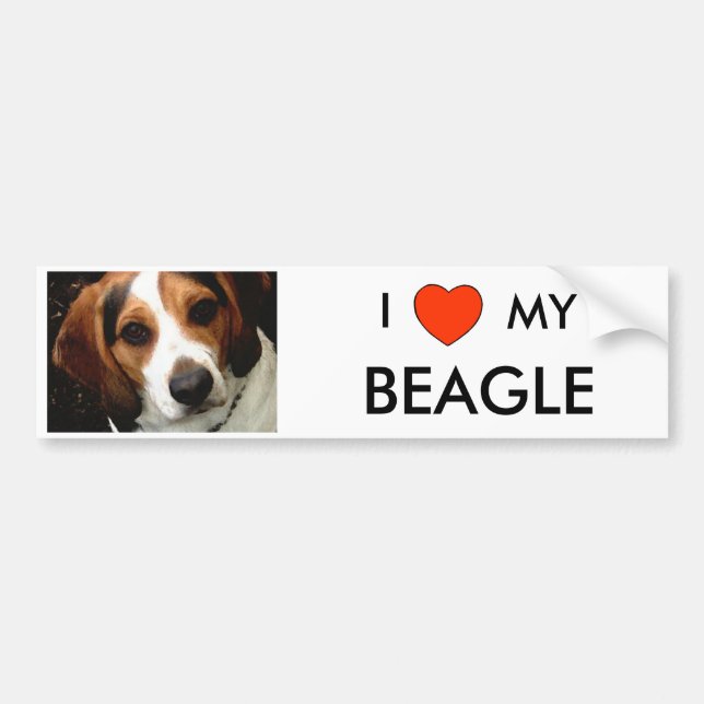 I Heart MY BEAGLE Bumper Sticker (Front)